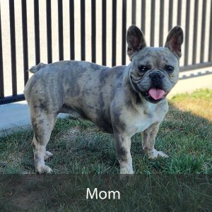 mom